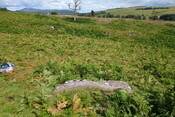 DSC06066 panel to the E.JPG