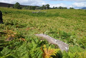 DSC06068 panel to the N.JPG