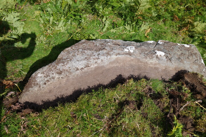 DSC06071 perpendicular to carved surface.JPG