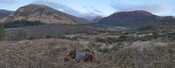 ScRAP 732 panorama looking SE.jpg