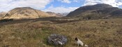 ScRAP 2014 panorama looking SE.jpg