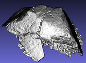DALREOICH 2 3D Model Screenshot 2.jpg