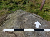 DALREOICH 2 Close ups of motifs 2.jpg