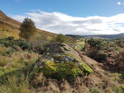 DALREOICH 2 Panel to E.jpg