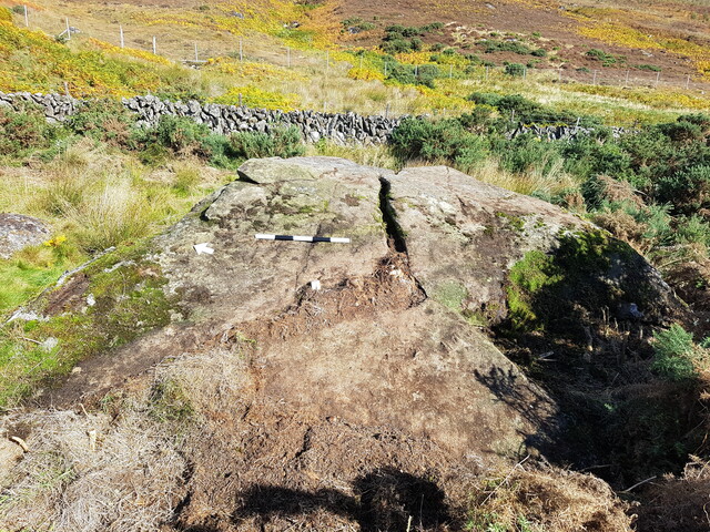 DALREOICH 2 Panel to N 2.jpg