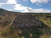 DALREOICH 2 Panel to S.jpg