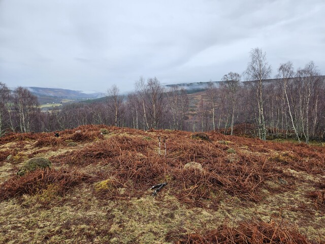 20240215_141713 Hut Circle 3, looking SE.jpg