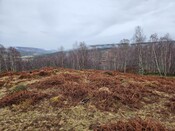 20240215_141713 Hut Circle 3, looking SE.jpg