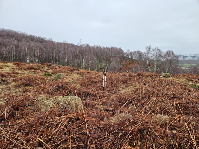20240215_141735 Hut Circle 3, looking E.jpg