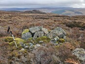 20240228_122200 Possible shieling platform, (24-S22), looking SE.jpg