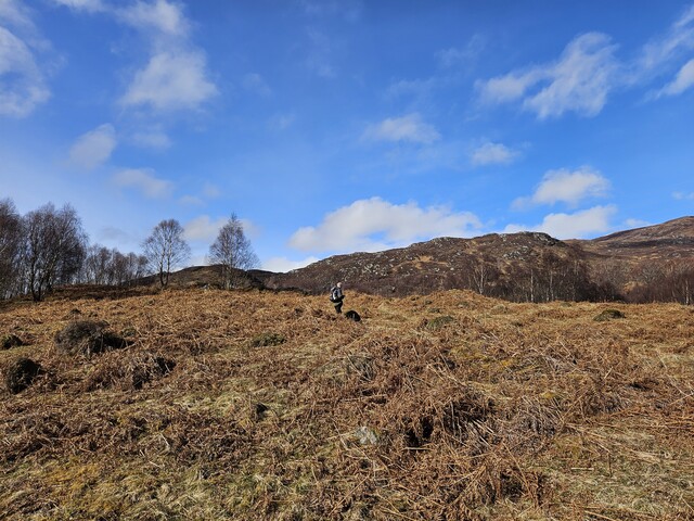20240316_114130 Shieling Hut 2, looking W.jpg