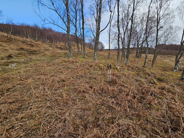 20240324_142954 Hut Circle 4 from SW.jpg