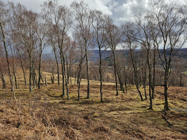 20240324_141459 Looking down on Hut Circle 4 from NW.jpg