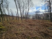 20240324_143008 Hut Circle 4 from N.jpg