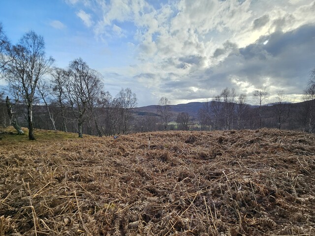20240324_154840 Hut Circle 7 from N.jpg