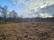 20240324_154840 Hut Circle 7 from N.jpg