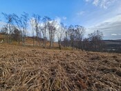 20240324_154808 Hut Circle 7 from W.jpg