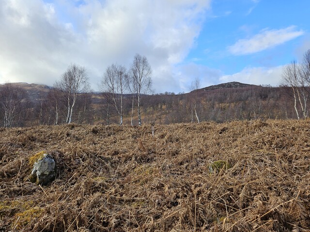 20240324_154930 Looking NW through SE entrance of Hut Circle 7.jpg