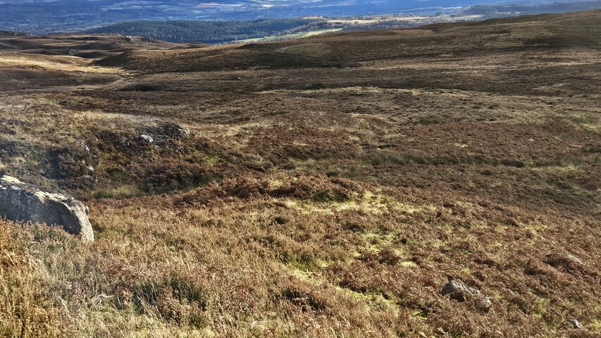 20241114_124123.jpg