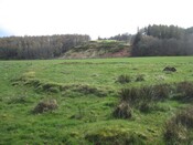 IMG_0245.jpg