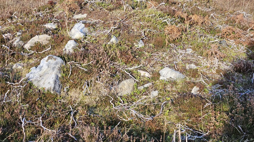 20241114_140251 Looking down on Cairn 7 from SW.jpg