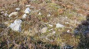 20241114_140251 Looking down on Cairn 7 from SW.jpg