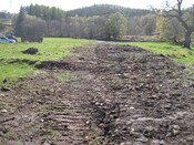 IMG_0298.jpg