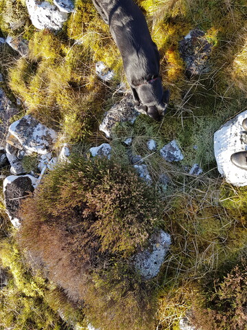 20220117_120917 Looking down vertically.jpg