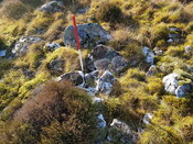 20220117_120929 Looking NW.jpg