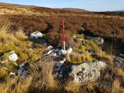20220117_120829 Looking NE.jpg
