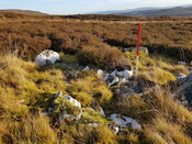 20220117_120856 Looking SW.jpg