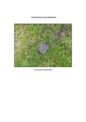 SHG29772_Culrain_Mains_Bloomery_Mound_2024.pdf