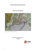 SHG29773_Petty_Saltwater_Mill_Survey_2024.pdf