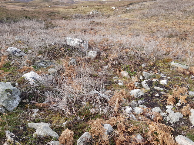 20220211_111959 Cairn 1, looking W.jpg