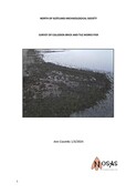 SHG29774_Culloden_Brick_Tile_Works_Pier_Survey_2024.pdf
