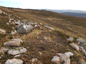 20220211_115342 poss Hut Cirlce, looking SE.jpg