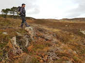 20220211_124015 Shelter set into bank, looking NW.jpg