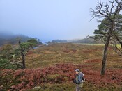 20231116_121902 Lookng W from bowl towards Loch a Mhuillidh.jpg