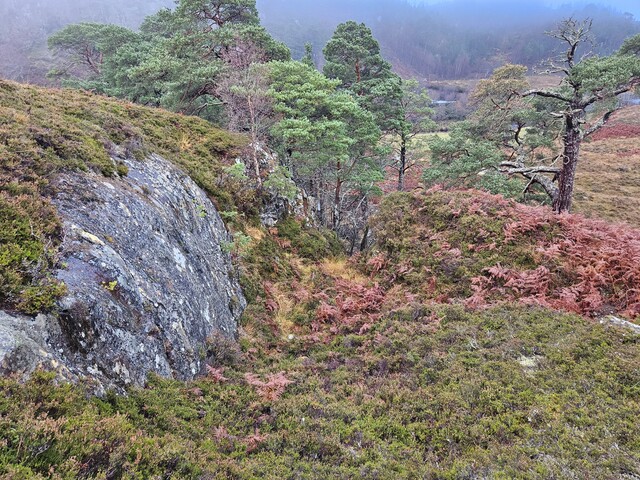 20231116_121856 Bowl at top of Graphite Gully, looking S.jpg