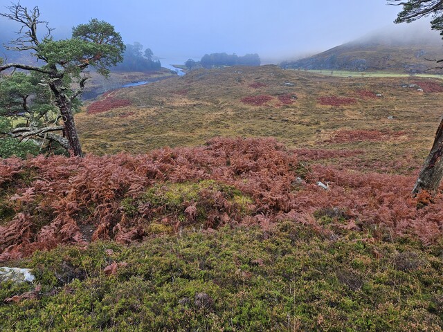 20231116_122022  Lookng W from bowl towards Loch a Mhuillidh.jpg