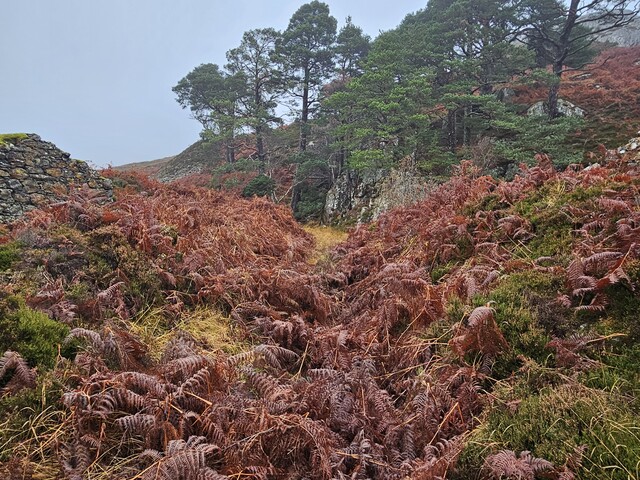 20231116_135429 Looking NW along secondary gully towards mine.jpg