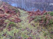 20231116_130107 Track, maybe gully, towards river.jpg