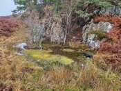 20231116_135956 Pool at base of crag, area of mine, looking NW.jpg