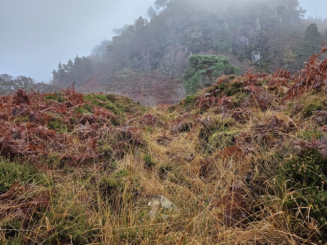 20231116_140012 Look along main gully to mine. between Structures 2 & 3.jpg