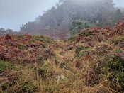20231116_140012 Look along main gully to mine. between Structures 2 & 3.jpg