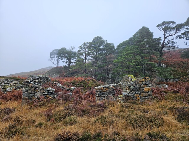 20231116_124229 Structure 2, looking N at tumbled S wall.jpg