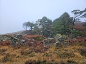20231116_124229 Structure 2, looking N at tumbled S wall.jpg