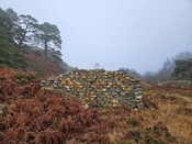 20231116_124253 Structure 2, looking E at remaining W wall.jpg
