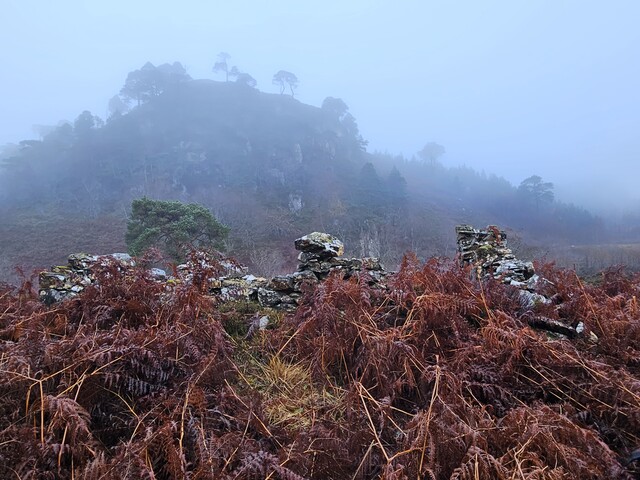 20231116_124636 Structure 3, looking S at tumbled N wall.jpg