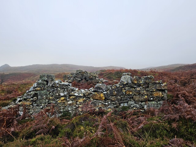 20231116_125123 Structure 4, looking NW.jpg